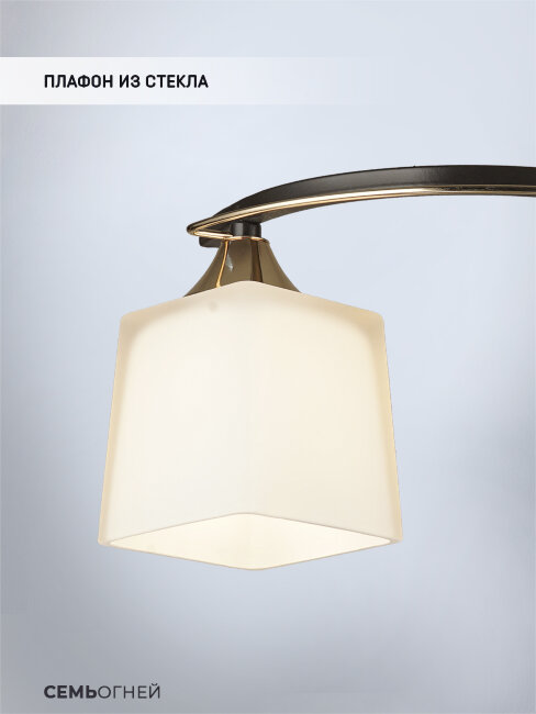 Потолочная люстра Wedo Light Birti WD3513/2C-CF-FGD-WT