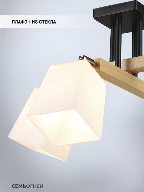 Потолочная люстра Wedo Light Lion WD3508/4C-BK-WT