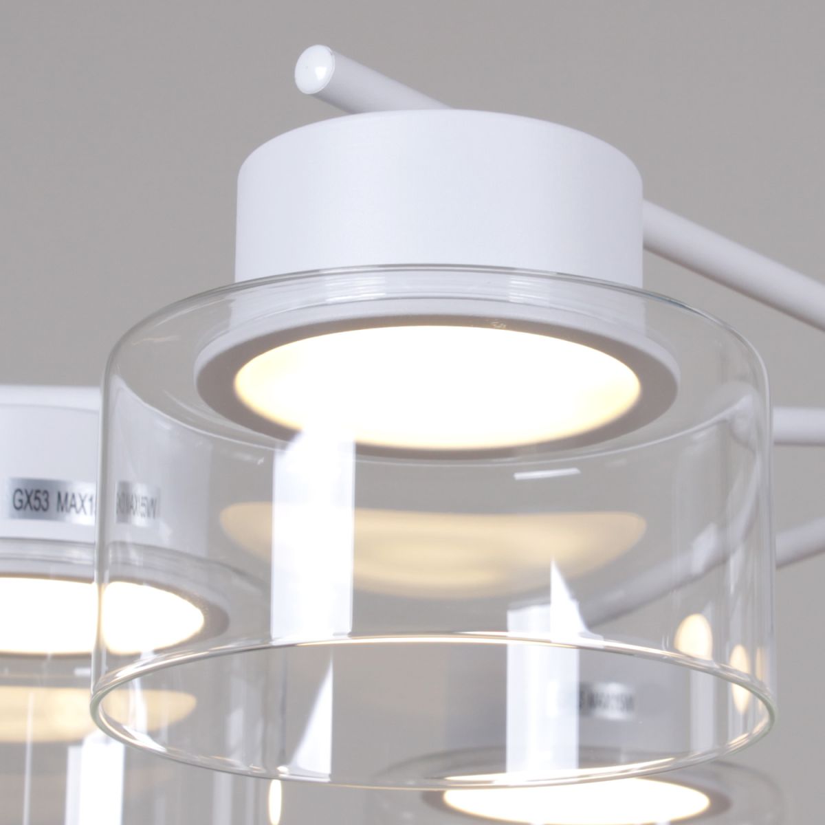 Люстра на штанге Reluce 48010-0.3-06 WT