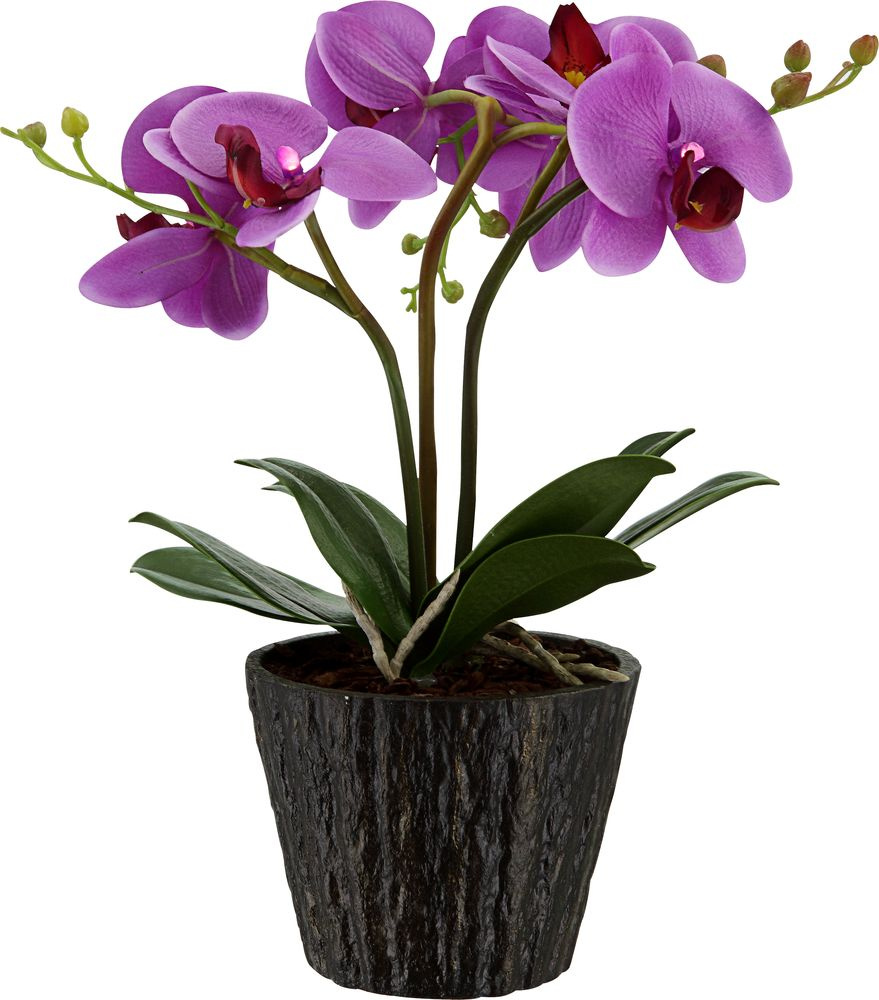 Настольная лампа Globo Flowerpower 28003