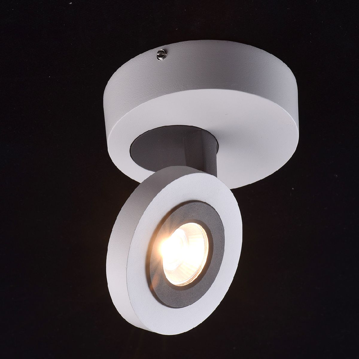 Спот MW-Light Астор 545020801