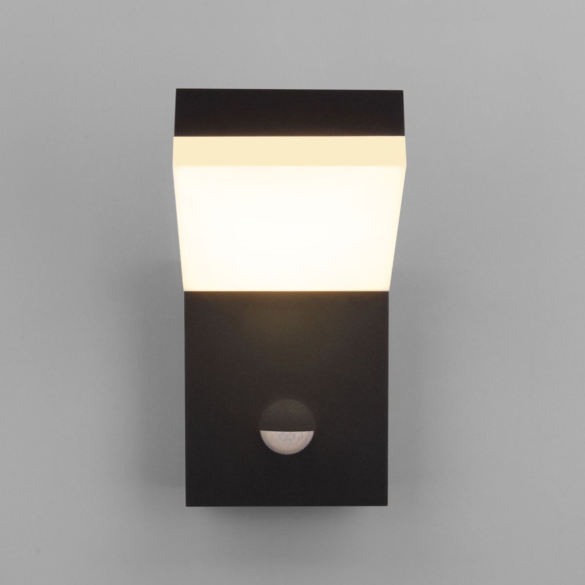 Уличный настенный светильник с датчиком движения Elektrostandard Sensor 1541 TECHNO LED черный 4690389219245 a072087