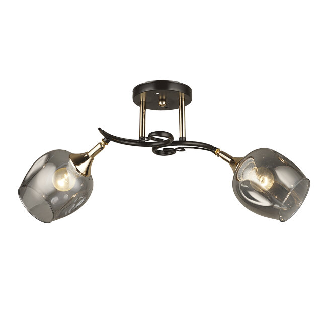 Потолочная люстра Wedo Light Alvi 66744.01.15.02