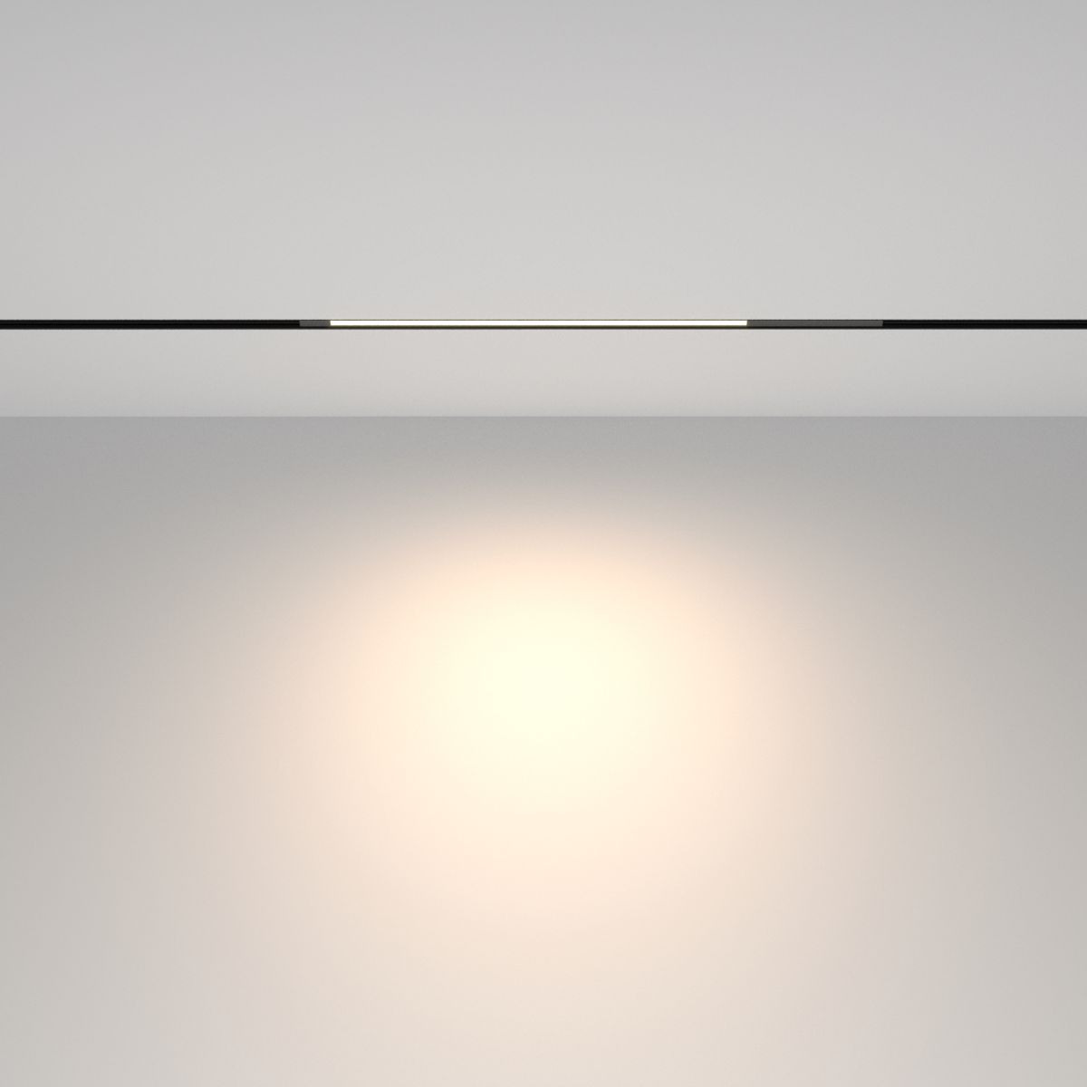 Трековый магнитный светильник Maytoni Technical Basis TR231-2-10W4K-B