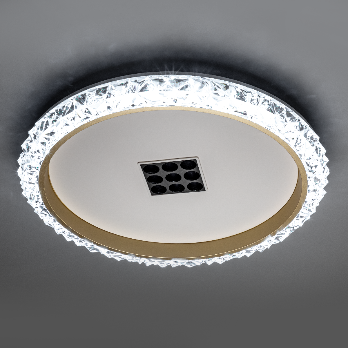 Потолочная люстра Ritter Galassia 51578 8