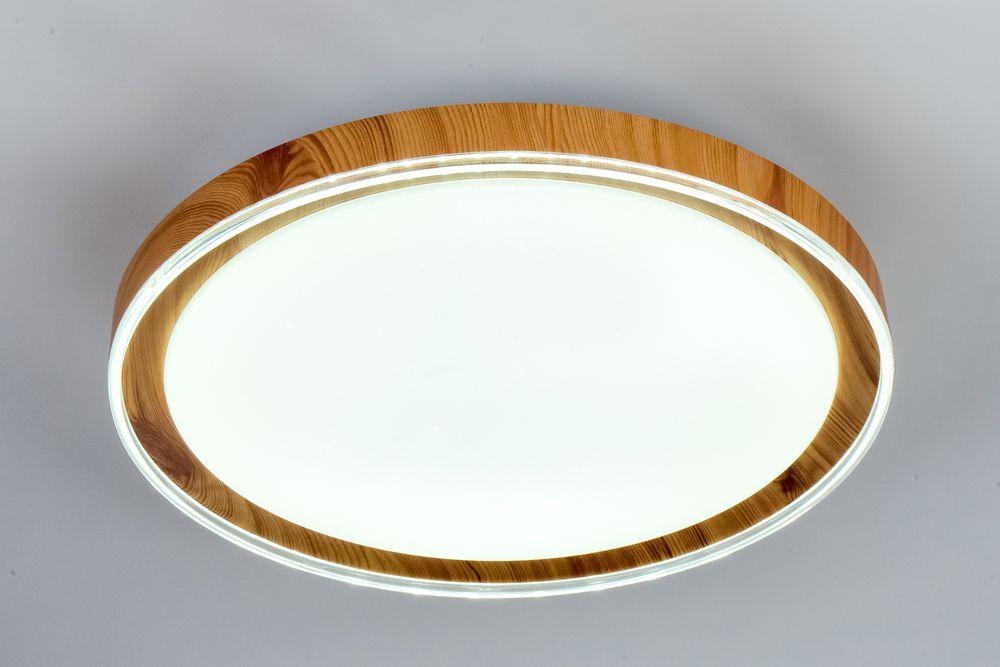 Потолочный светодиодный светильник Escada 10269/S LED