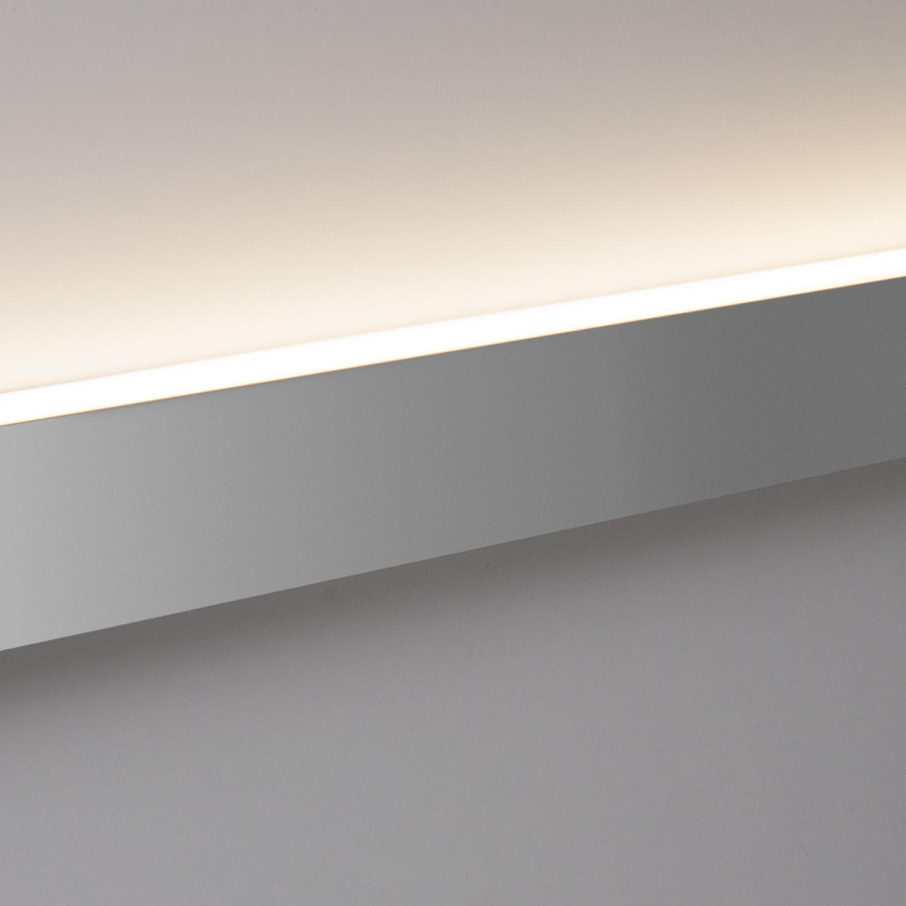 Настенный светодиодный светильник Elektrostandard LS-02-1-103-6500-MS 4690389117626