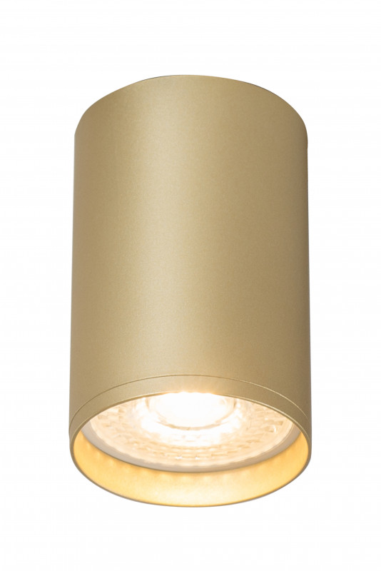 Накладной светильник Denkirs Tube DK2050-SG