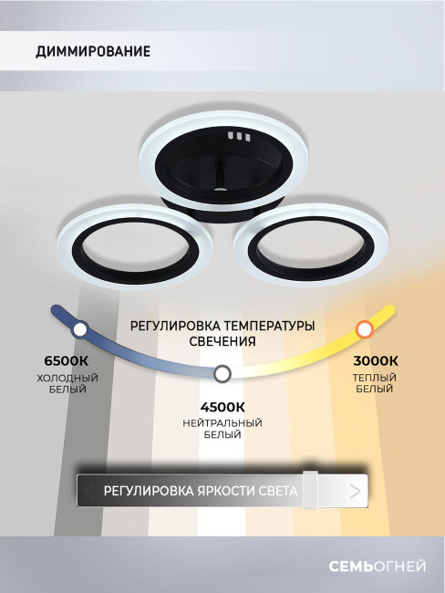 Потолочная люстра Seven Fires Leyni SF5006/3C-BK