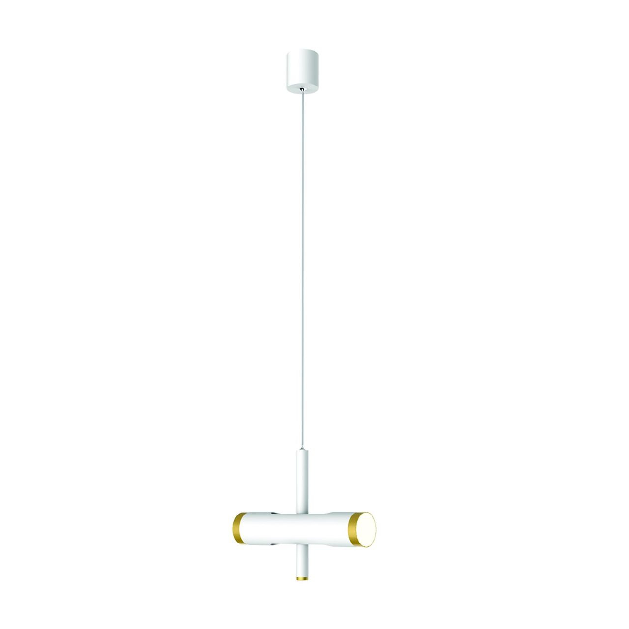 Подвесной светодиодный светильник Favourite Duplex 2323-2P