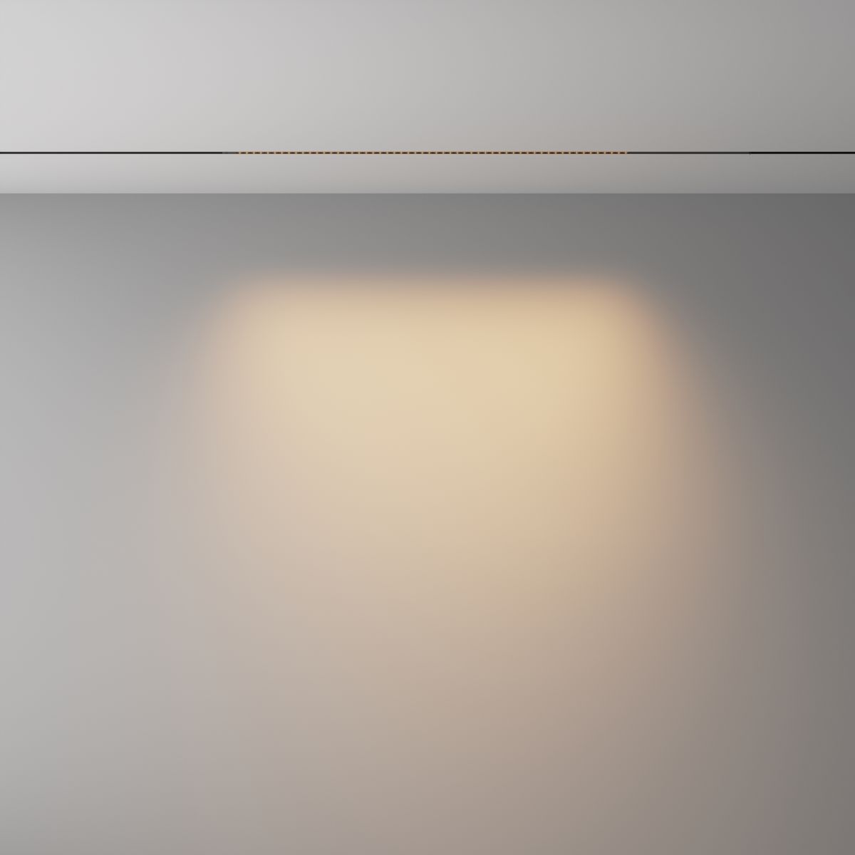 Трековый магнитный светильник Maytoni Technical Points Exility X TR241-4-12WTW-DSZ-B