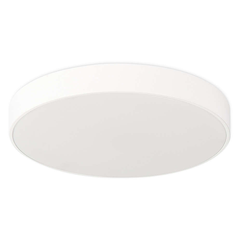 Потолочный светильник Simple Story 1204-LED12CL