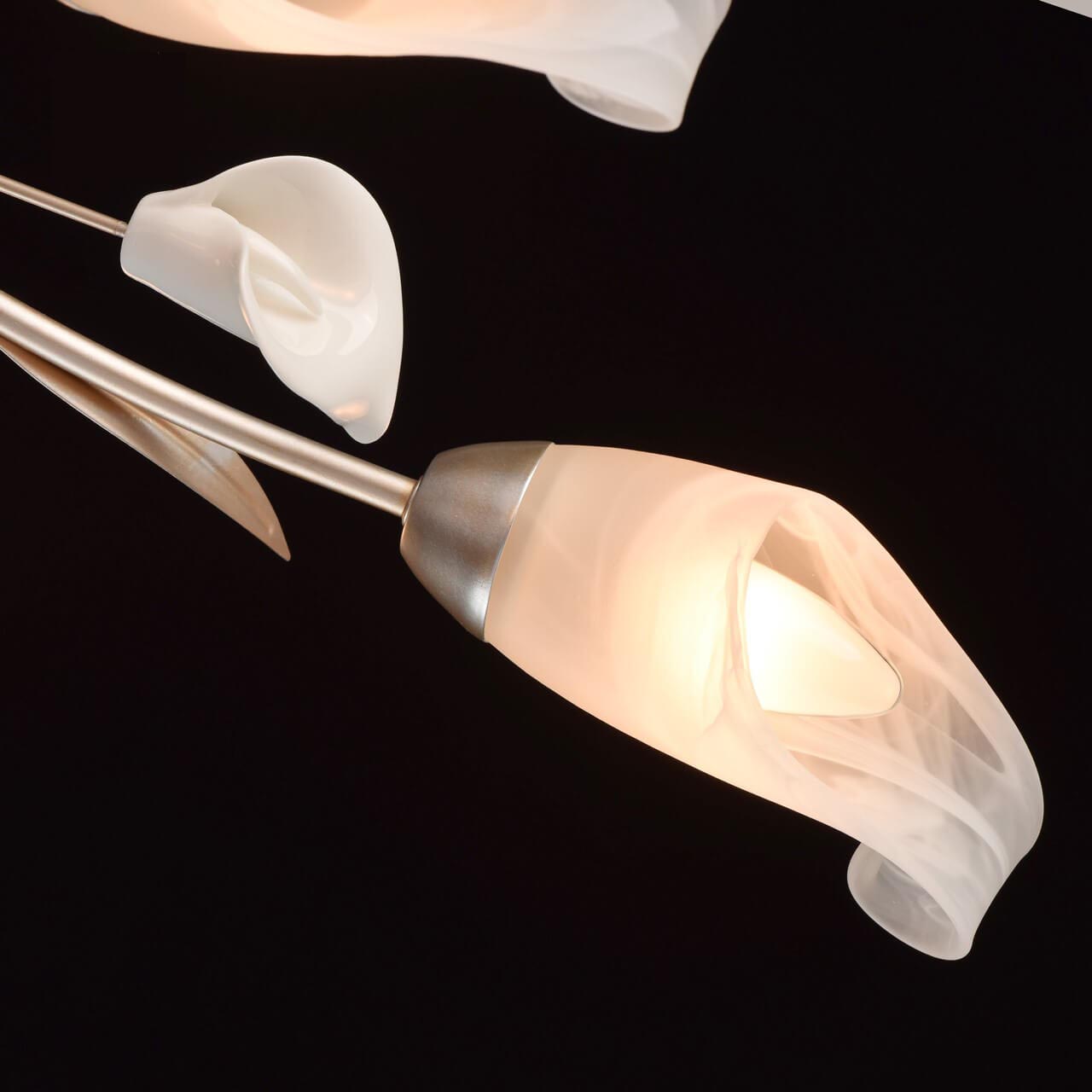 Потолочная люстра MW-Light Восторг 19 242016306 в Москве