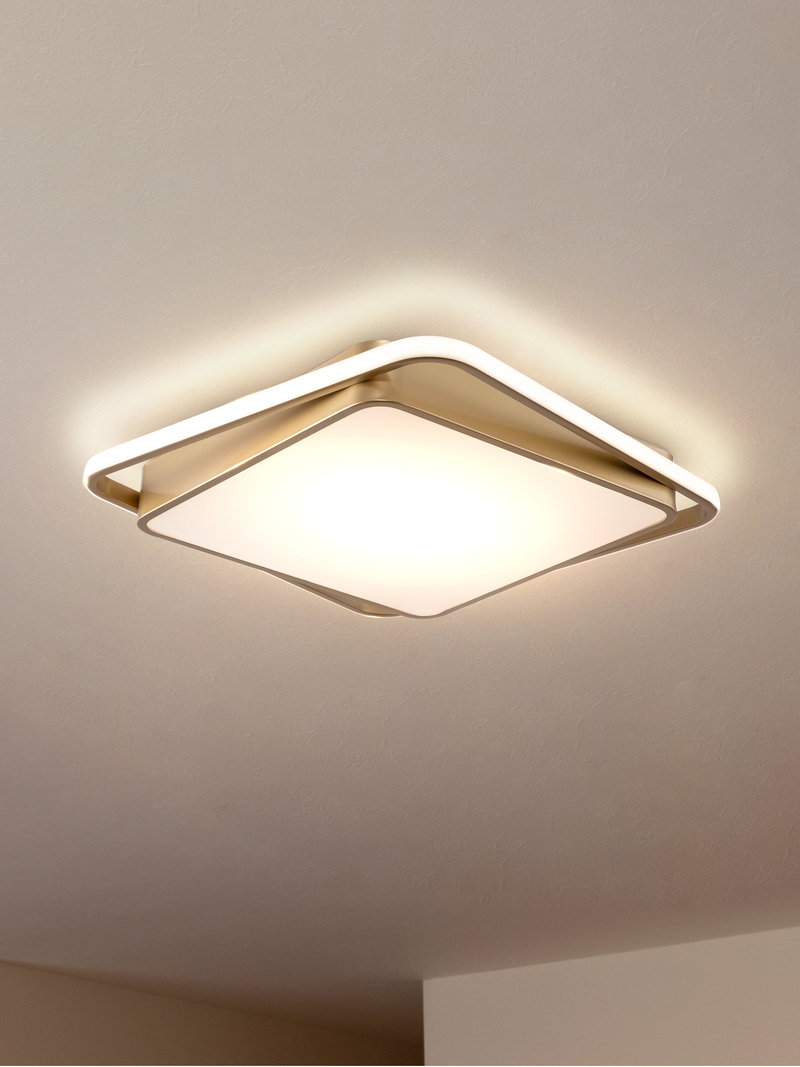 Потолочная люстра Freya Yaku FR10026CL-L93G