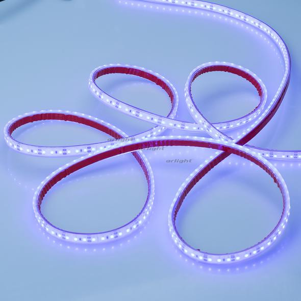 Светодиодная лента Arlight RTW 2-5000PGS 12V Blue 2x (3528, 600 LED) 013392