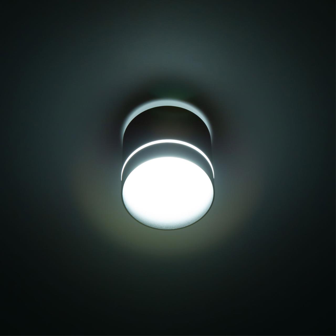 Накладной светильник Citilux Борн CL745021N в Москве