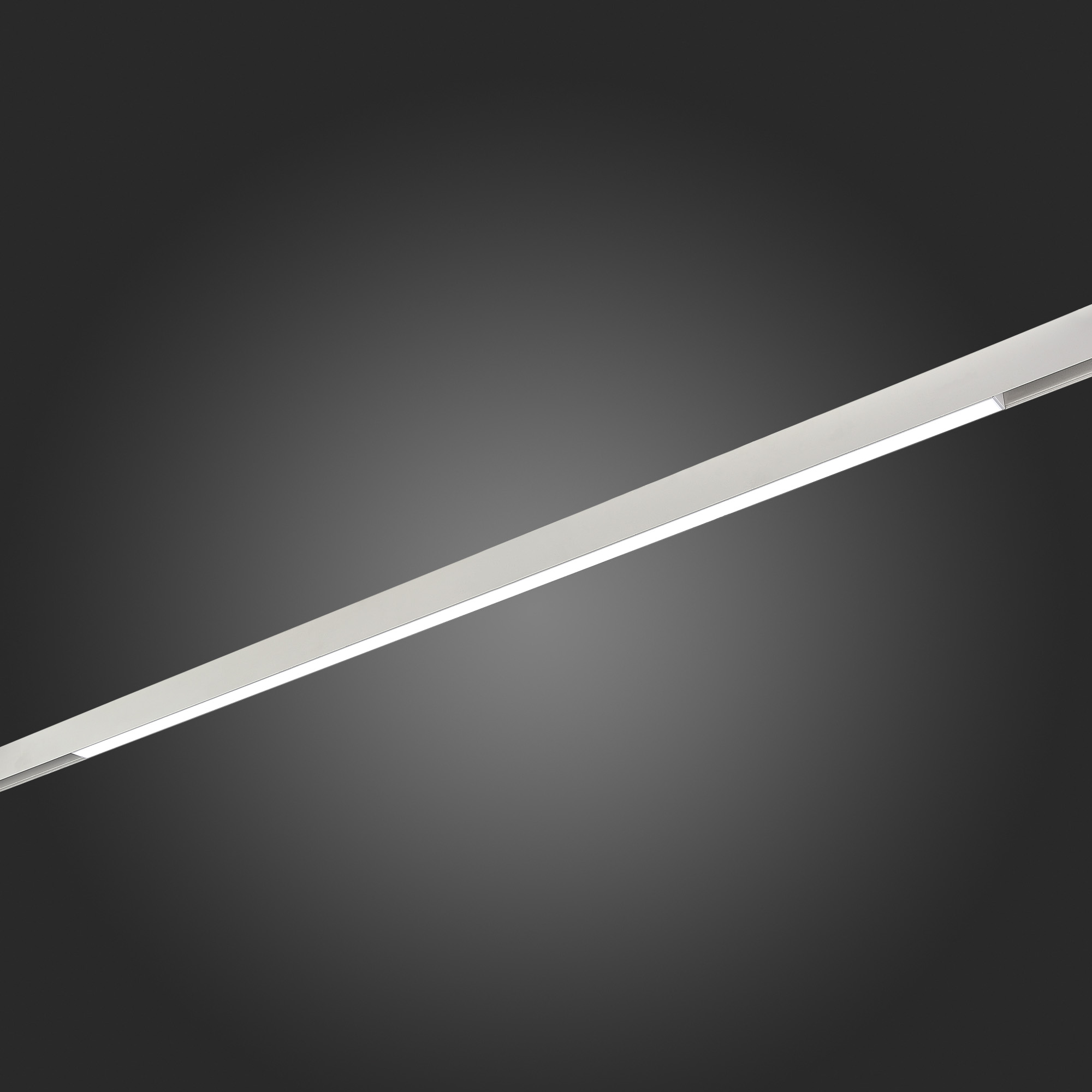 Трековый светильник ST Luce Skyline 48 ST370.506.36