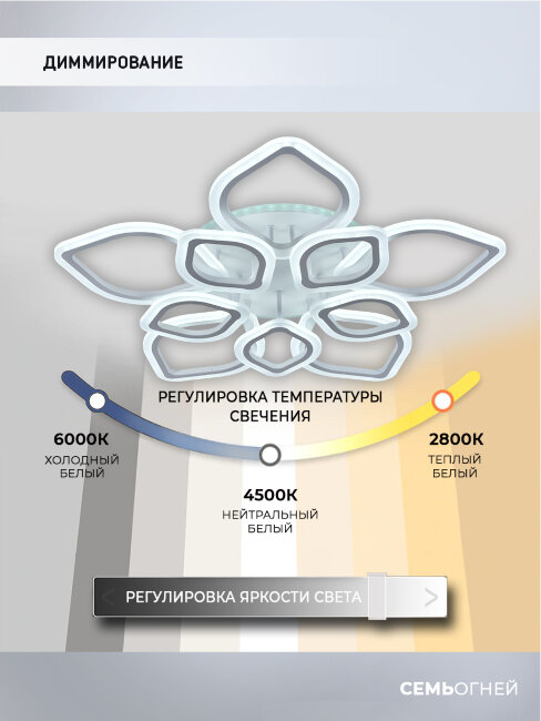 Потолочная люстра Seven Fires Feri SF5029/11C-WT-RGB