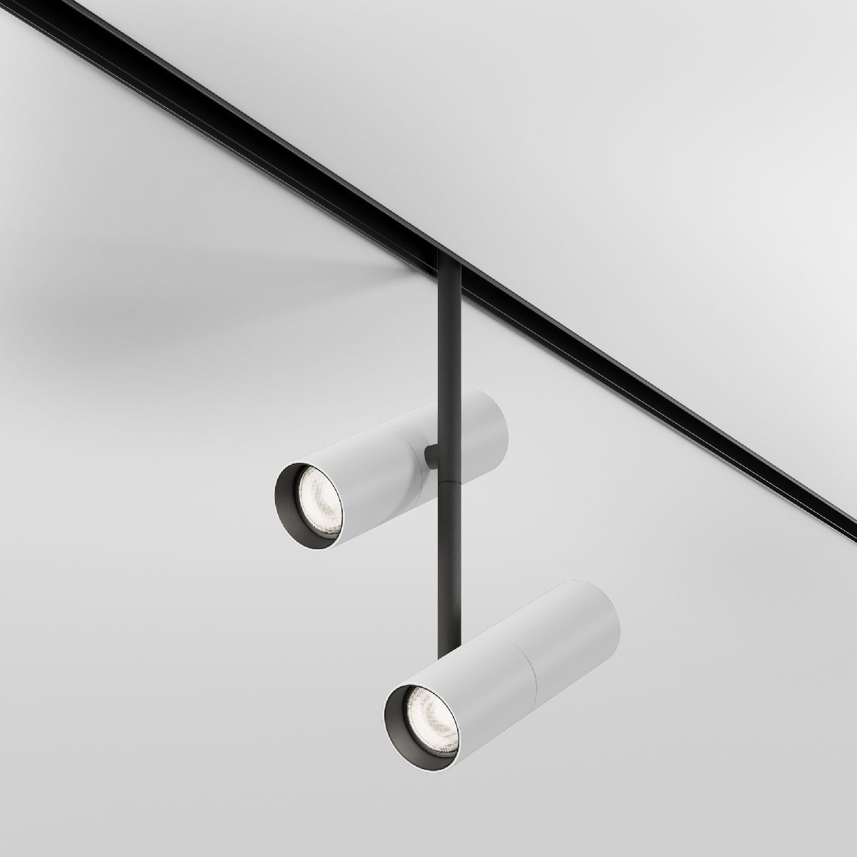 Трековый магнитный светильник Maytoni Elti Duo TR005-4-2X12W-DS-BW