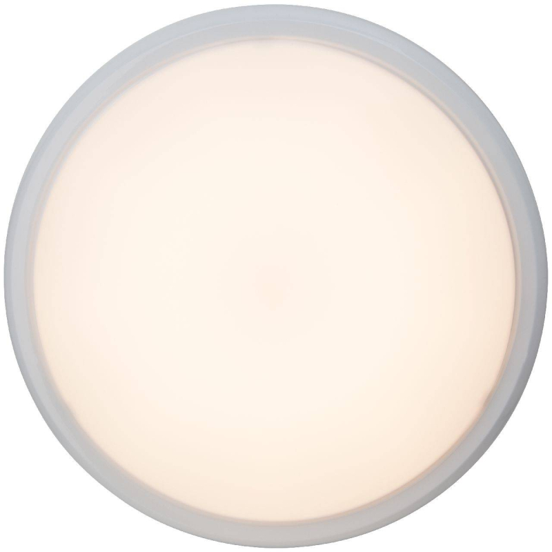 Потолочный светильник Brilliant Vigor G94154/05