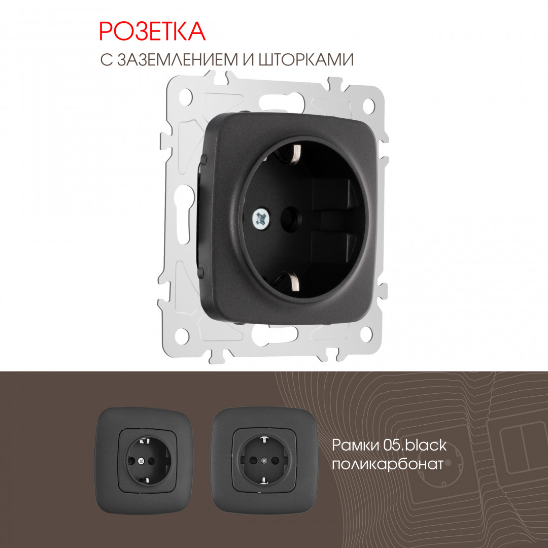 Розетка с заземлением и шторками Arte Milano 205.40-1.black