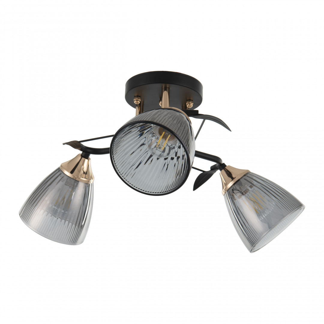 Потолочная люстра Arte Milano Amalfi 322610/3 BK+FG