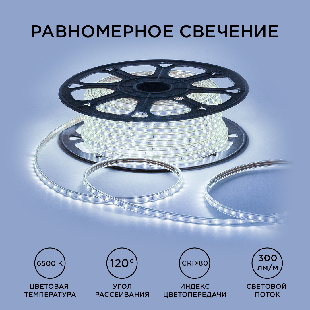 Светодиодная лента OGM Эконом 220В 2835 5Вт/м 6500К 50м IP65 O17-03