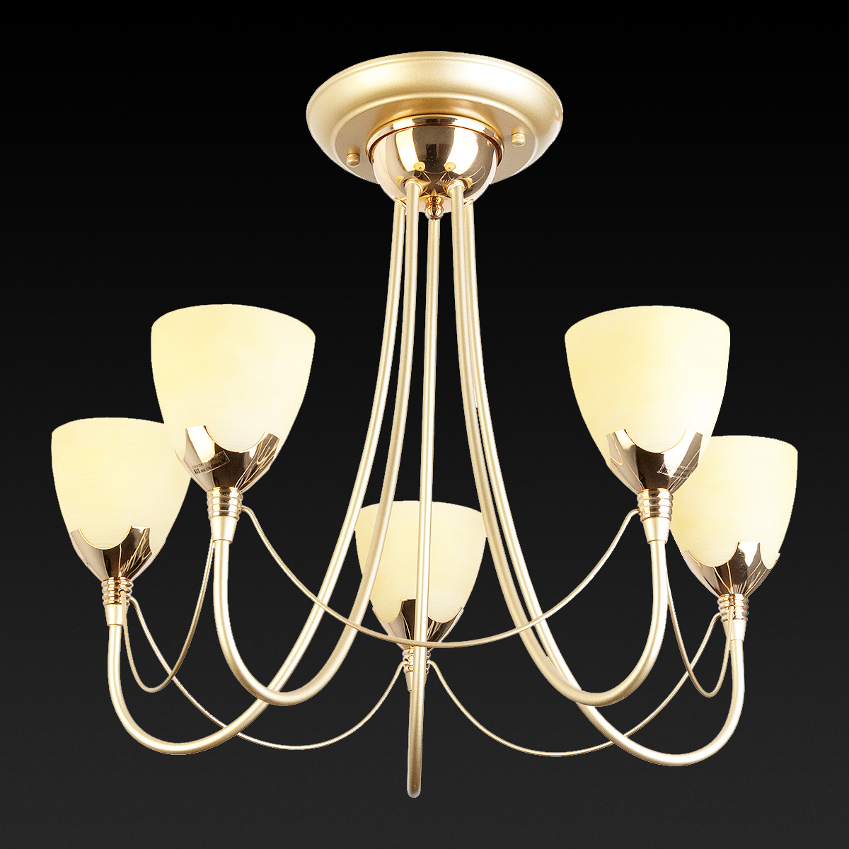 Потолочная люстра Toplight Lucia TL3630X-05MG