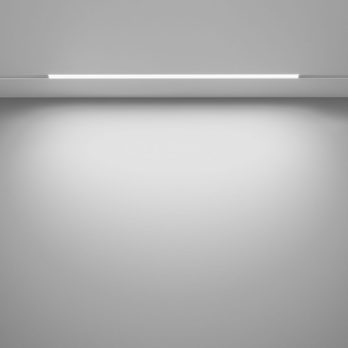 Трековый магнитный светильник Maytoni Basis TR030-4-24W3K-WW-DS-W