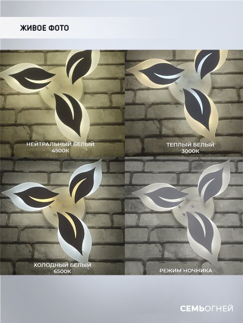 Потолочная люстра Wedo Light Omenya 75391.01.09.03