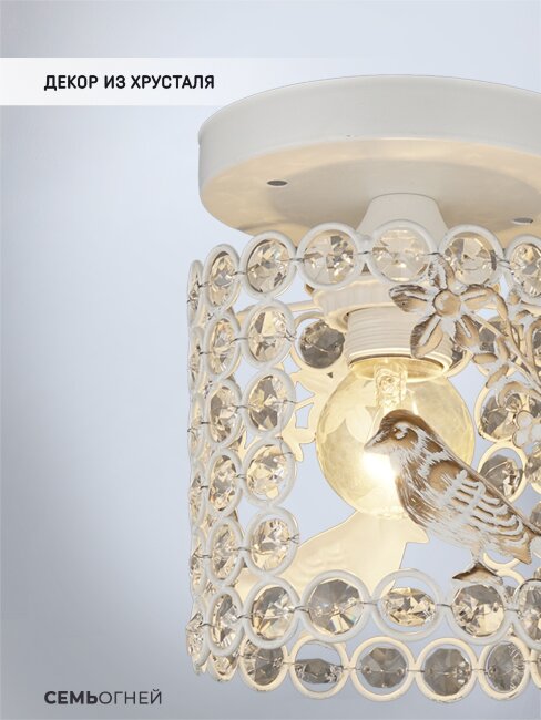 Потолочный светильник Wedo Light Denes WD3568/1C-WG-CL