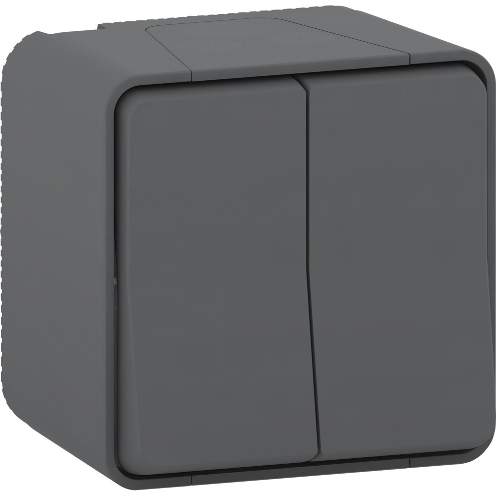 Выключатель 2-клавишный Schneider Electric MUR40914