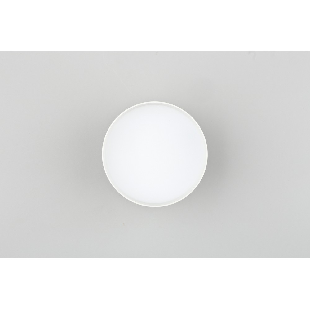 Накладной светильник Omnilux Abano OML-103309-12