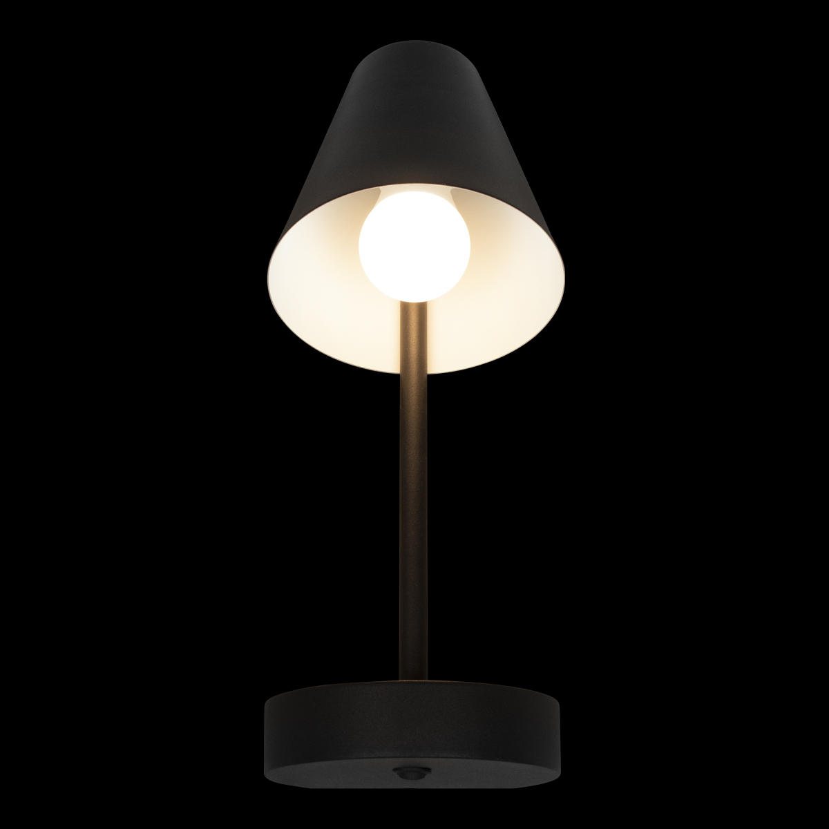 Бра с выключателем на корпусе Loft IT Shelf 10216/1W Black