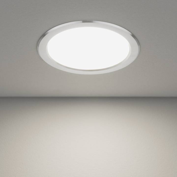 Вcтраиваемый светильник Elektrostandard Down Light 4690389055164