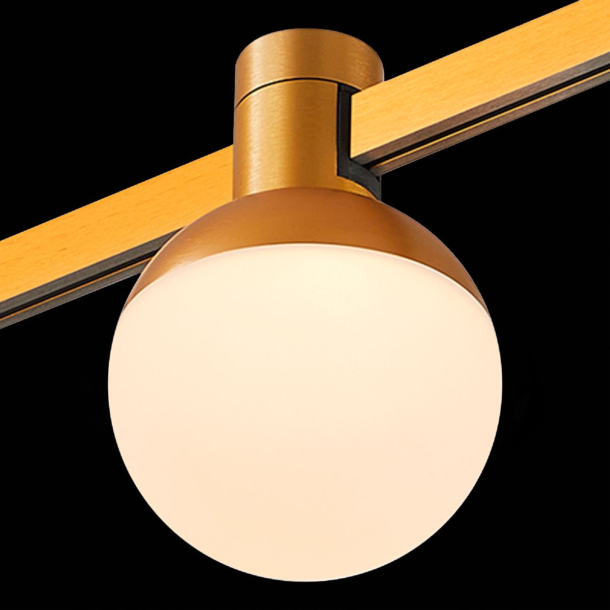 Трековый магнитный светильник ST Luce Farm ST815.206.05