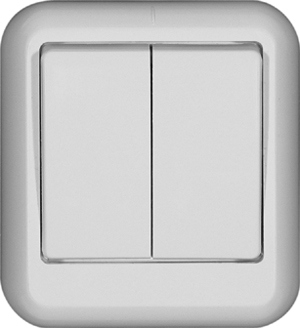 Выключатель 2-клавишный Schneider Electric Прима A56-029-BI