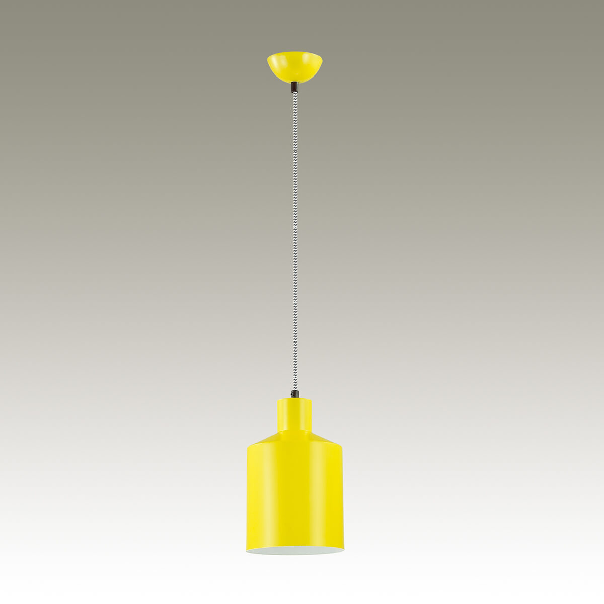 Подвесной светильник Lumion Rigby 3660/1