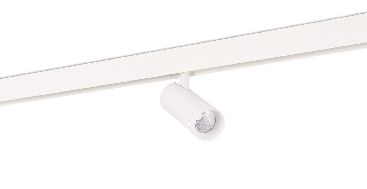 Трековый светильник Donolux Alpha DL20295TW20WTuya