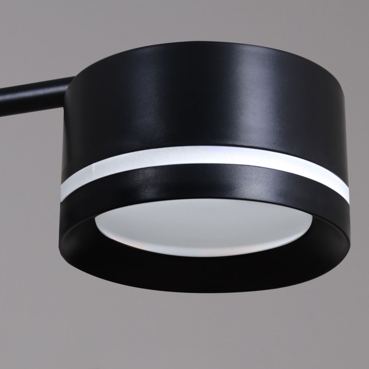 Потолочная люстра Reluce 19490-0.4-5+5 Black