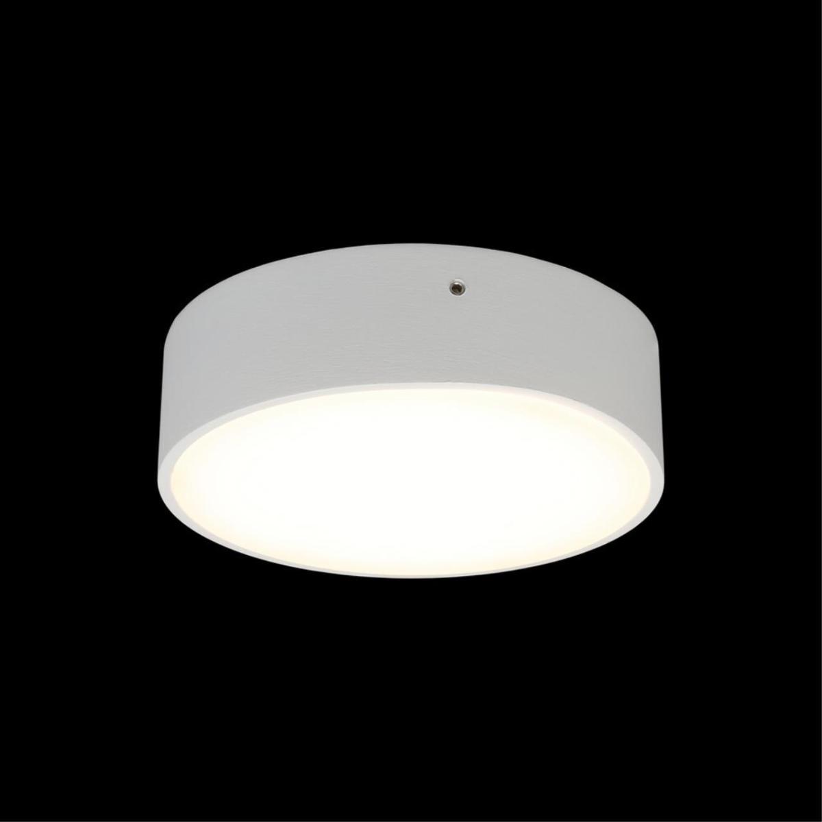 Потолочный светильник Aployt Evon APL.0113.09.12