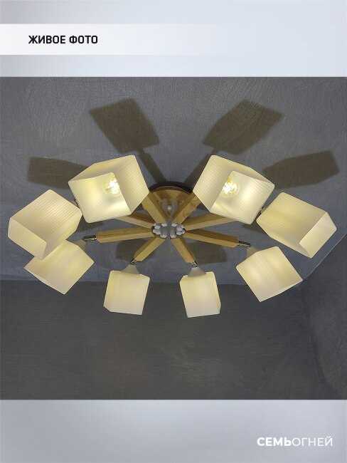 Потолочная люстра Wedo Light Melvill WD3505/8C-WT