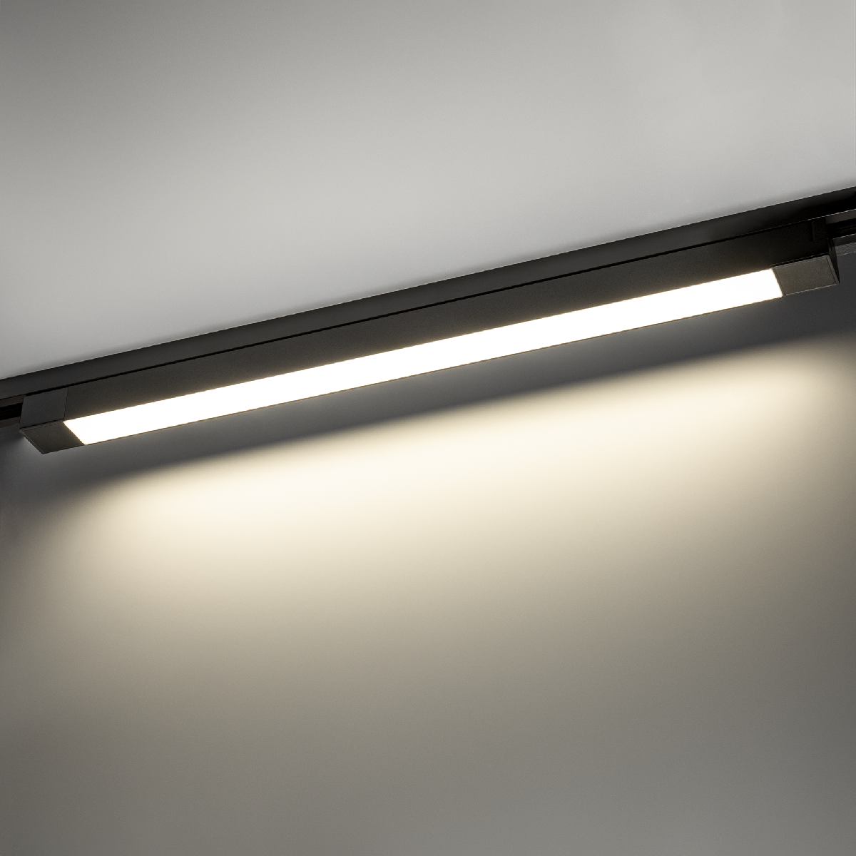 Трековый однофазный светильник Ritter Artline 59718 0