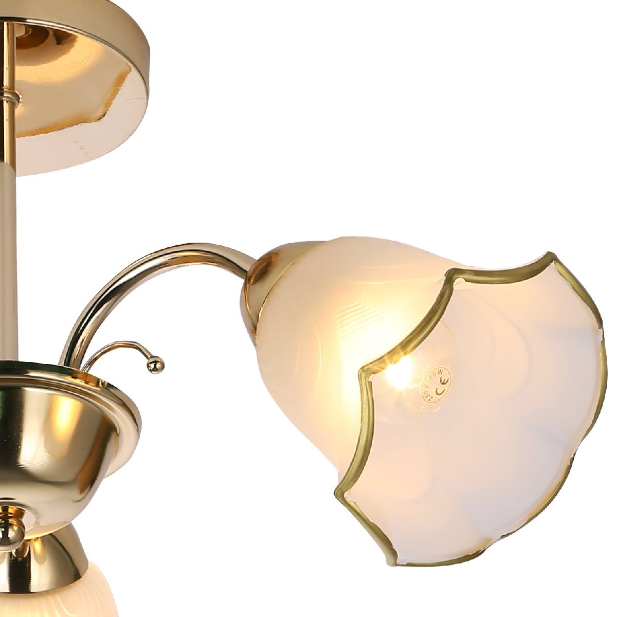 Люстра на штанге Reluce 06698-0.3-03