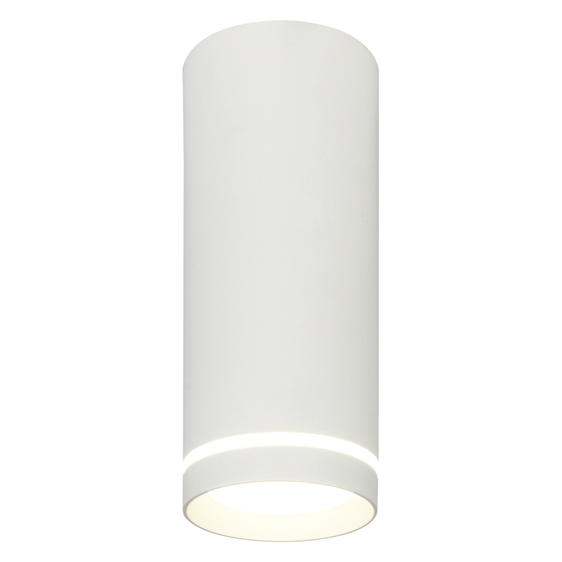 Светодиодный спот Escada 20009 20009SMU/02LED SWH