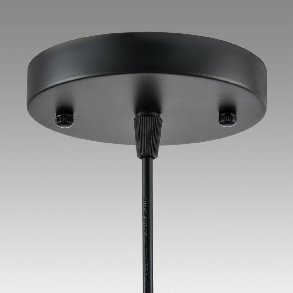 Подвесной светильник Lumion Suspentioni Leonela 8052/1A