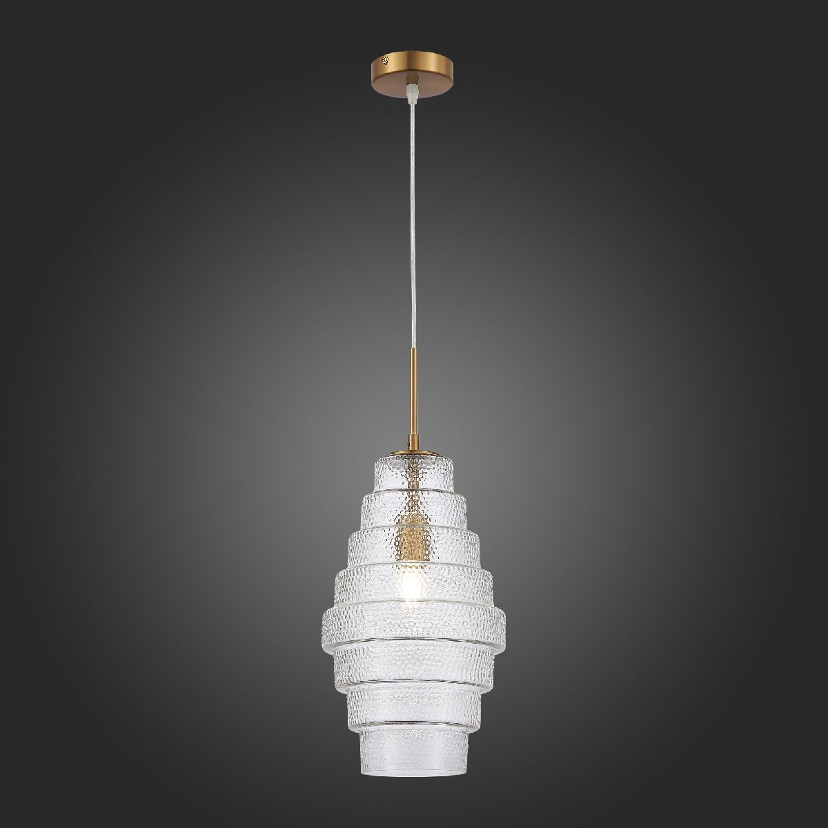 Подвесной светильник ST Luce Rexite SL1001.213.01