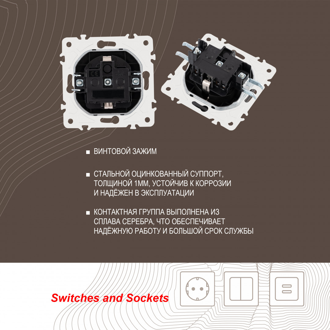 Розетка с заземлением, шторками и защитной крышкой Arte Milano 205.41-1.black