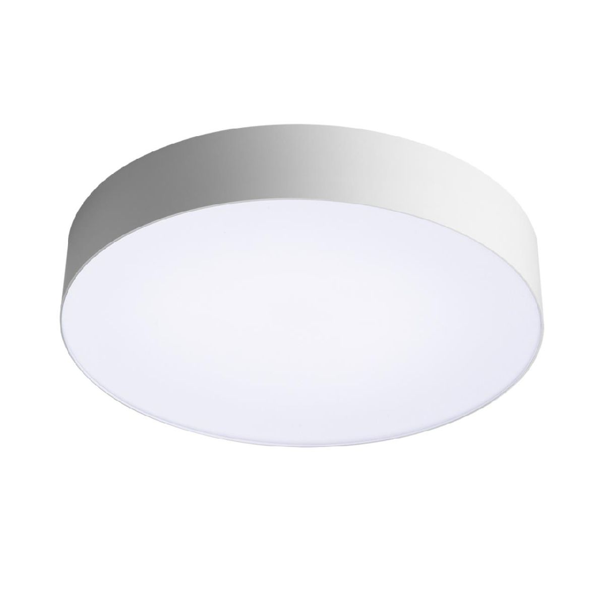 Настенно-потолочный светильник Sonex Basica Optima 7779/DL