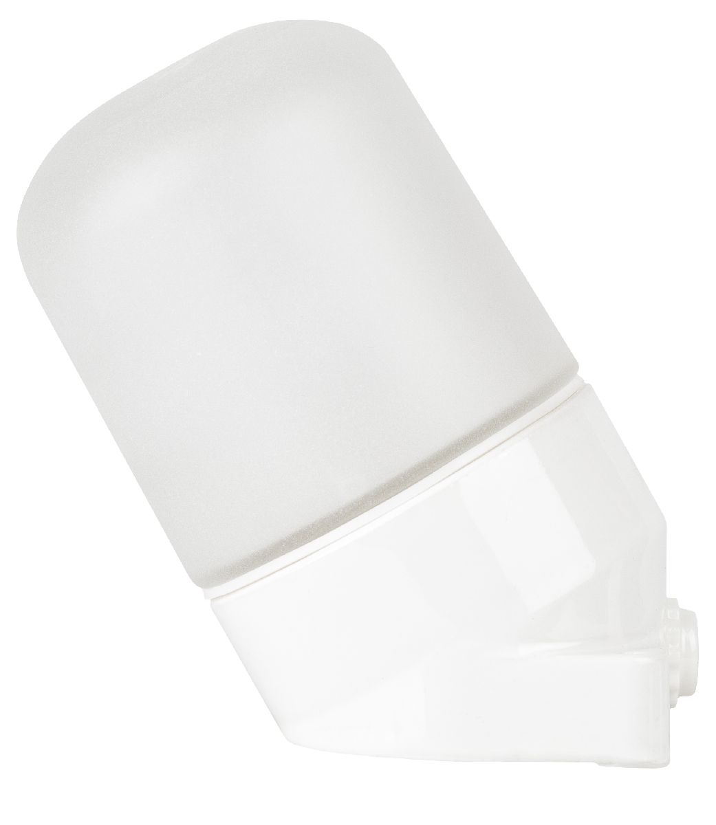 Настенно-потолочный светильник Эра НББ 02-60-002 Б0064018